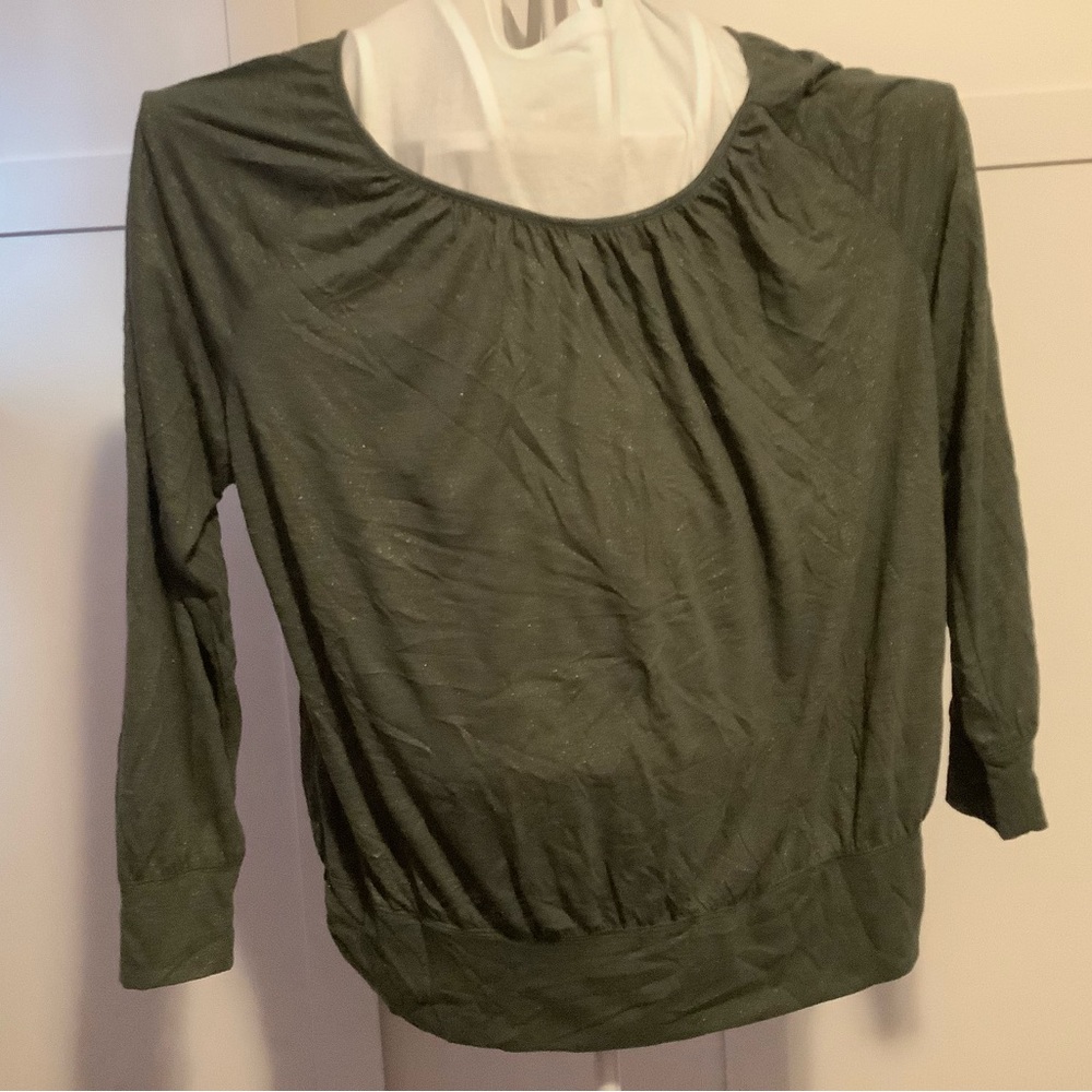 Lane Bryan gray long-sleeved blouse and has glitter on it size 18/20